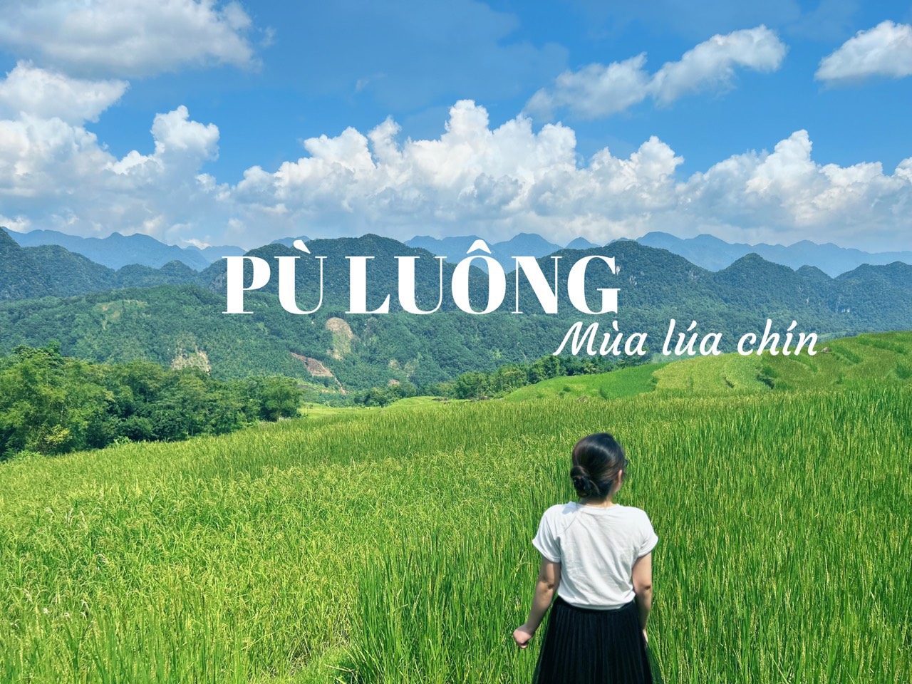 Pu Luông mùa lúa chin nhà hàng 0 Km